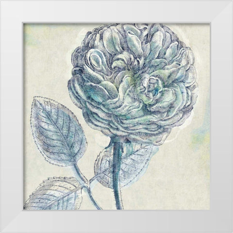 Belle Fleur III White Modern Wood Framed Art Print by Schlabach, Sue