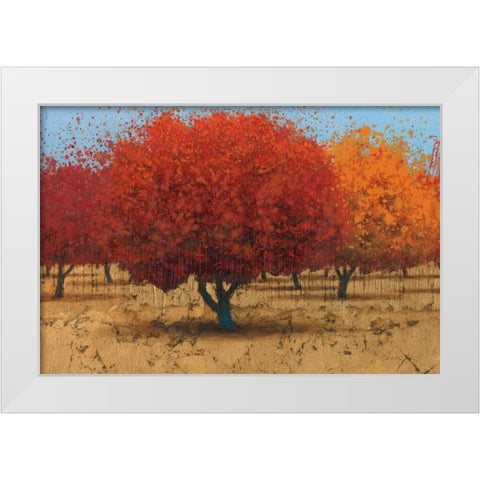 Orange Trees II White Modern Wood Framed Art Print by Wiens, James