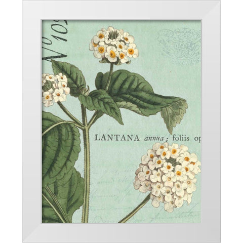 Botanique Bleu I White Modern Wood Framed Art Print by Wild Apple Portfolio