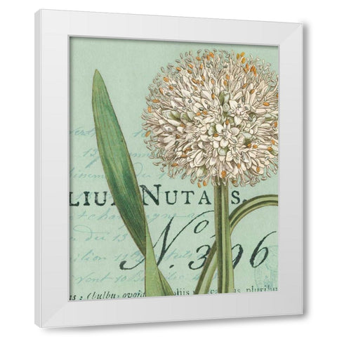 Botanique Bleu II White Modern Wood Framed Art Print by Wild Apple Portfolio