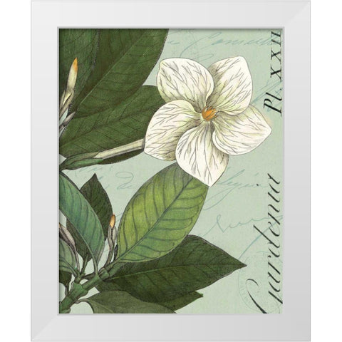 Botanique Bleu III White Modern Wood Framed Art Print by Wild Apple Portfolio