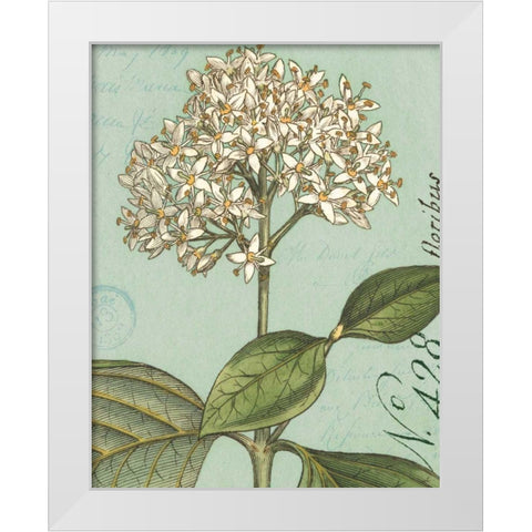 Botanique Bleu IV White Modern Wood Framed Art Print by Wild Apple Portfolio