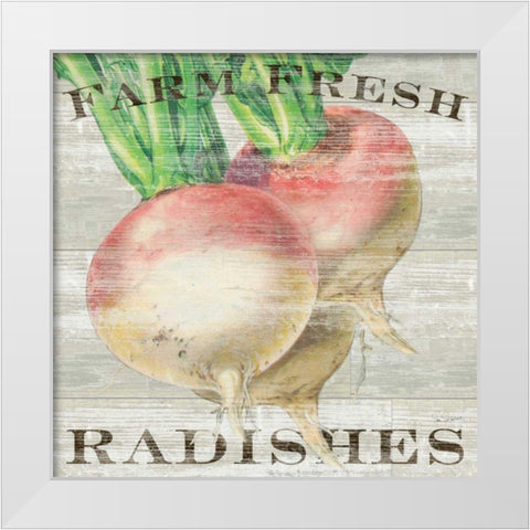 Farm Fresh Radishes White Modern Wood Framed Art Print by Schlabach, Sue