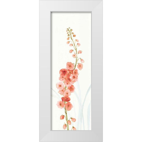 Rainbow Seeds Flowers VII Coral White Modern Wood Framed Art Print by Audit, Lisa