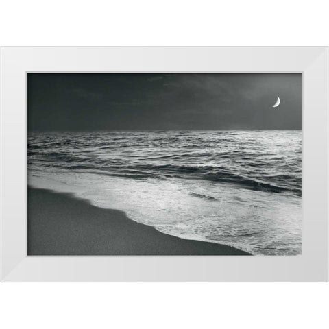 Moonrise Beach Black and White White Modern Wood Framed Art Print by Schlabach, Sue