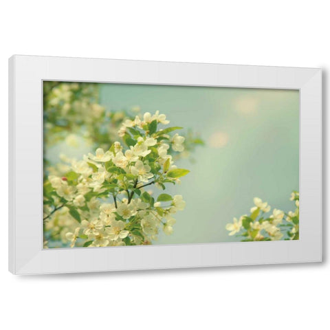 Spring Beauty I White Modern Wood Framed Art Print by Schlabach, Sue