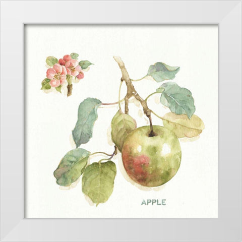 Orchard Bloom I White Modern Wood Framed Art Print by Audit, Lisa