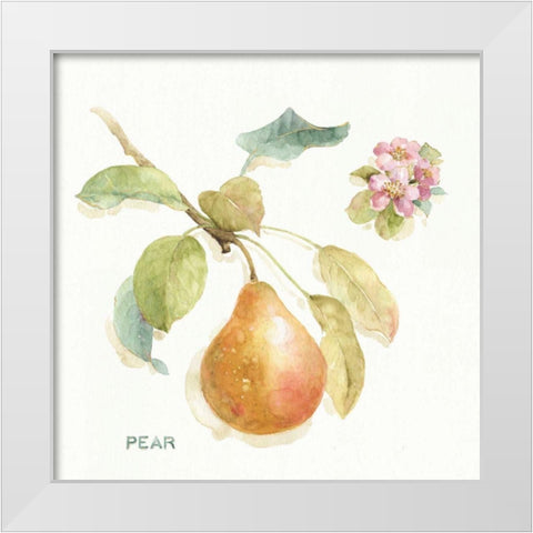 Orchard Bloom II White Modern Wood Framed Art Print by Audit, Lisa