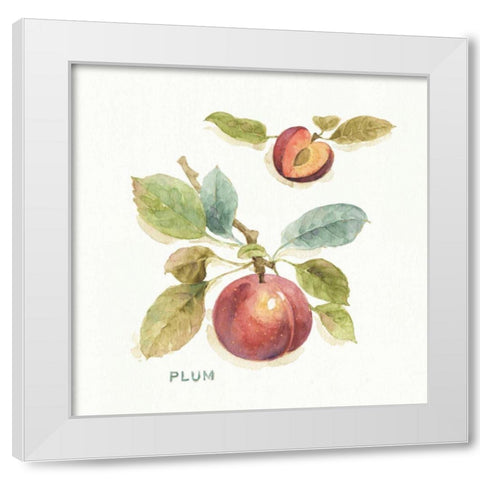 Orchard Bloom IV White Modern Wood Framed Art Print by Audit, Lisa