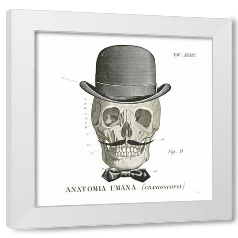 Dandy Bones IV White Modern Wood Framed Art Print by Schlabach, Sue