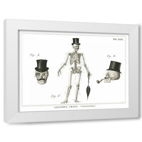 Dandy Bones White Modern Wood Framed Art Print by Schlabach, Sue