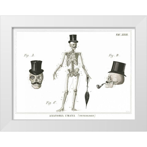 Dandy Bones White Modern Wood Framed Art Print by Schlabach, Sue