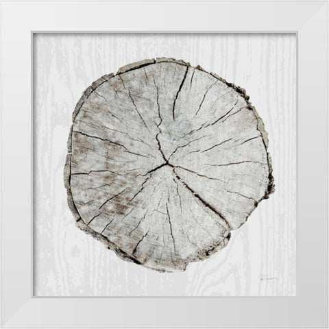 Woodland Years I  White Modern Wood Framed Art Print by Schlabach, Sue