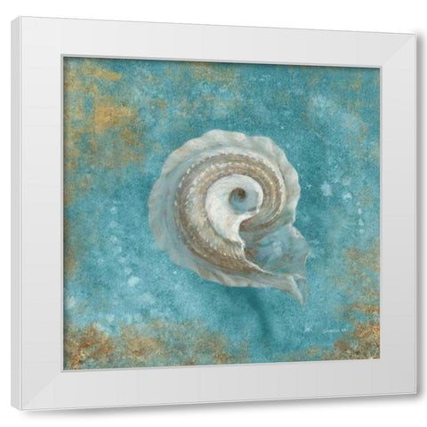 Treasures from the Sea III Aqua  White Modern Wood Framed Art Print by Nai, Danhui