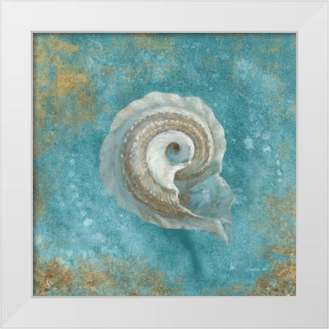 Treasures from the Sea III Aqua  White Modern Wood Framed Art Print by Nai, Danhui