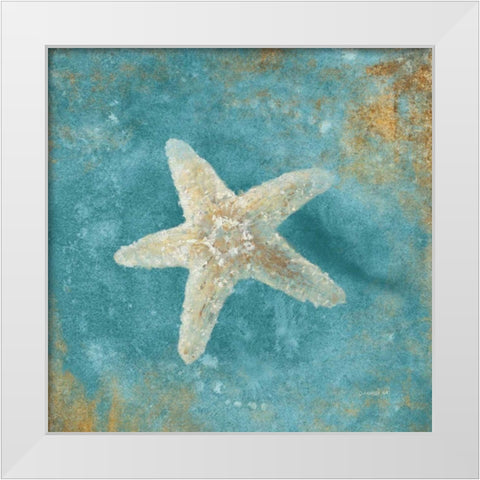 Treasures from the Sea IV Aqua  White Modern Wood Framed Art Print by Nai, Danhui