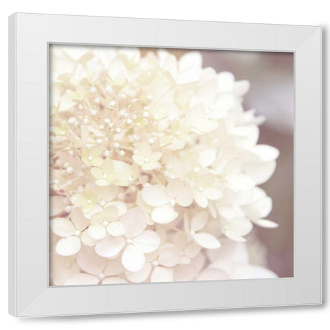 Hydrangea Dream I White Modern Wood Framed Art Print by Marshall, Laura