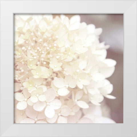 Hydrangea Dream I White Modern Wood Framed Art Print by Marshall, Laura
