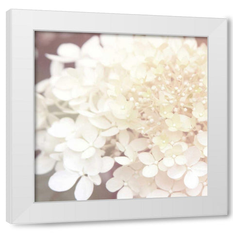 Hydrangea Dream II White Modern Wood Framed Art Print by Marshall, Laura