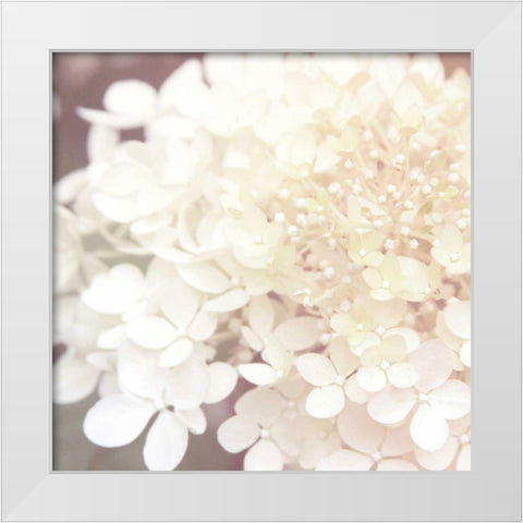 Hydrangea Dream II White Modern Wood Framed Art Print by Marshall, Laura
