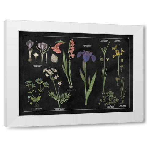 Botanical Floral Chart II Black and White White Modern Wood Framed Art Print by Wild Apple Portfolio