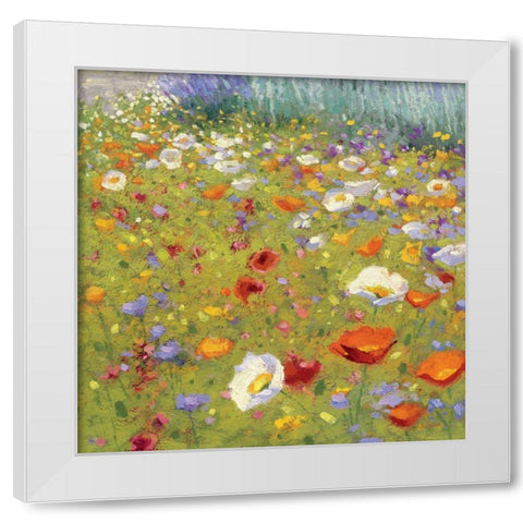 Champ de Fleur II  White Modern Wood Framed Art Print by Novak, Shirley