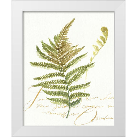 My Greenhouse Fern II White Modern Wood Framed Art Print by Audit, Lisa