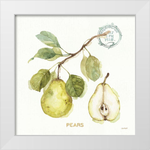 My Greenhouse Fruit I White Modern Wood Framed Art Print by Audit, Lisa