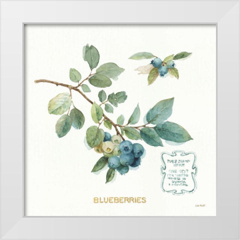 My Greenhouse Fruit II White Modern Wood Framed Art Print by Audit, Lisa