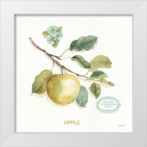 My Greenhouse Fruit IV White Modern Wood Framed Art Print by Audit, Lisa