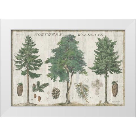 Woodland Chart I White Modern Wood Framed Art Print by Schlabach, Sue