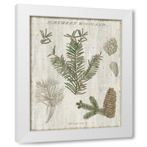 Woodland Chart II White Modern Wood Framed Art Print by Schlabach, Sue