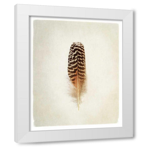 Feather I White Modern Wood Framed Art Print by Van Swearingen, Debra