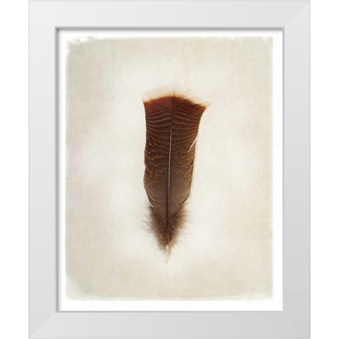 Feather III White Modern Wood Framed Art Print by Van Swearingen, Debra
