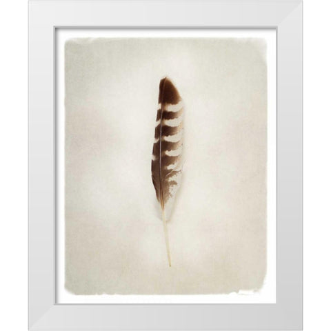 Feather IV White Modern Wood Framed Art Print by Van Swearingen, Debra