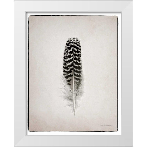 Feather I BW  White Modern Wood Framed Art Print by Van Swearingen, Debra