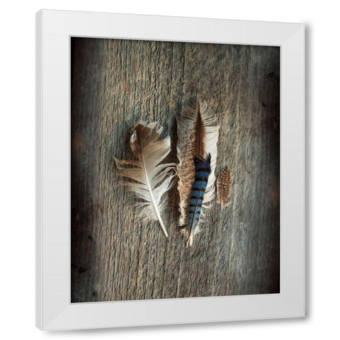 Feather Collection III White Modern Wood Framed Art Print by Schlabach, Sue