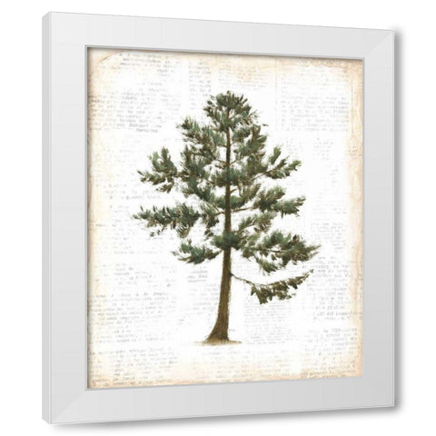 Into the Woods Trees I White Modern Wood Framed Art Print by Adams, Emily