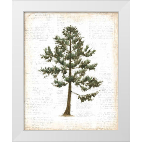Into the Woods Trees I White Modern Wood Framed Art Print by Adams, Emily