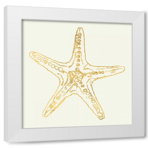 Coastal Breeze Shell Sketches White Modern Wood Framed Art Print by Tavoletti, Anne