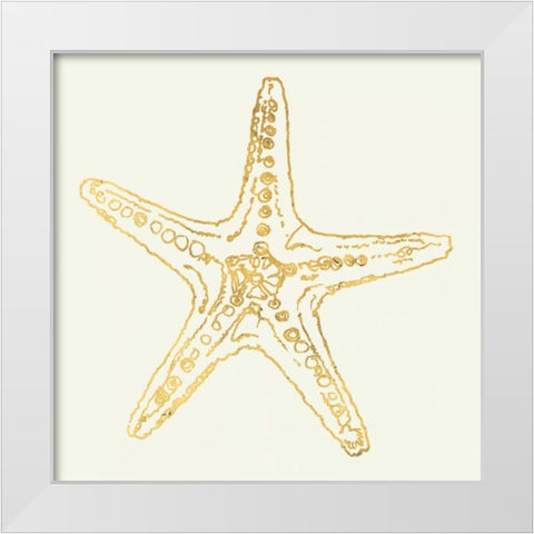 Coastal Breeze Shell Sketches White Modern Wood Framed Art Print by Tavoletti, Anne