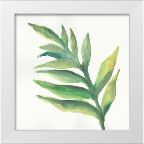 Tropical Palm I White Modern Wood Framed Art Print by Paschke, Chris