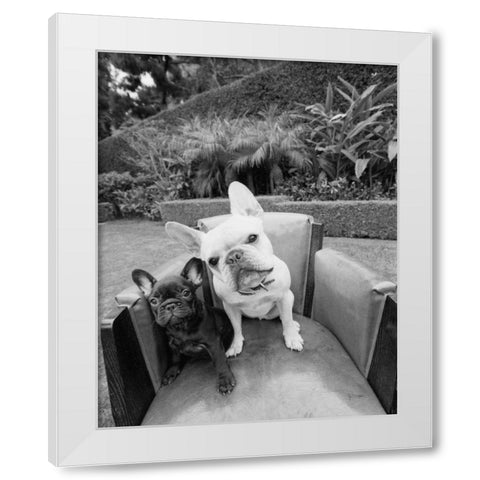Always Friends White Modern Wood Framed Art Print by Dratfield, Jim