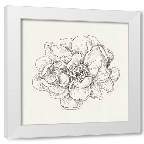 Pen and Ink Florals IV White Modern Wood Framed Art Print by Nai, Danhui