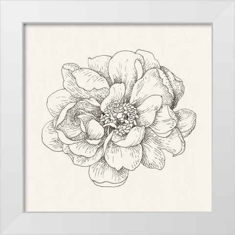Pen and Ink Florals IV White Modern Wood Framed Art Print by Nai, Danhui