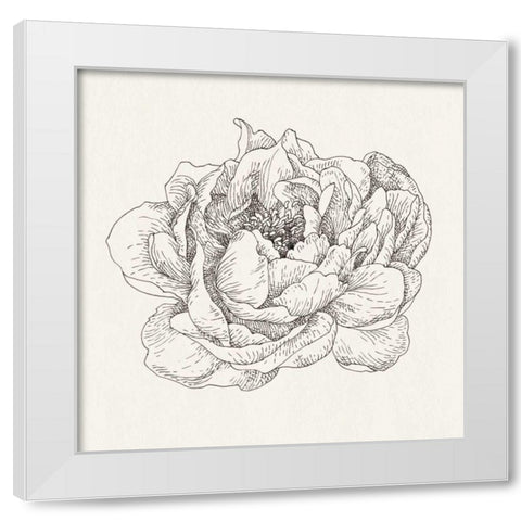 Pen and Ink Florals V White Modern Wood Framed Art Print by Nai, Danhui