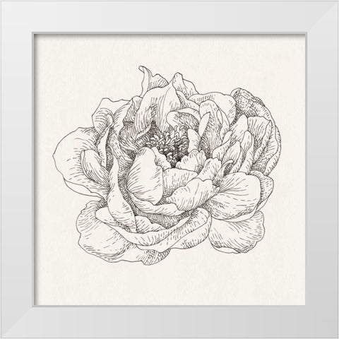 Pen and Ink Florals V White Modern Wood Framed Art Print by Nai, Danhui