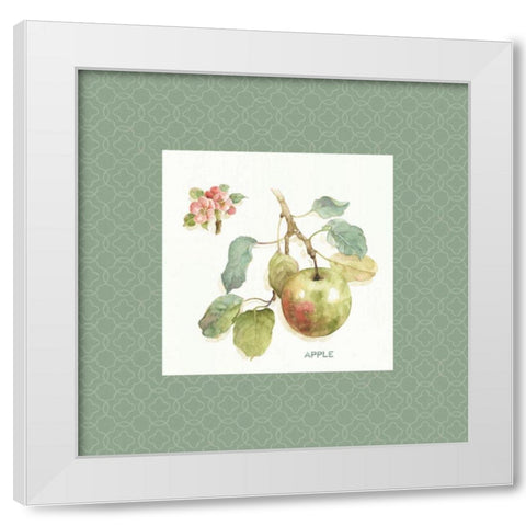 Orchard Bloom I Border White Modern Wood Framed Art Print by Audit, Lisa