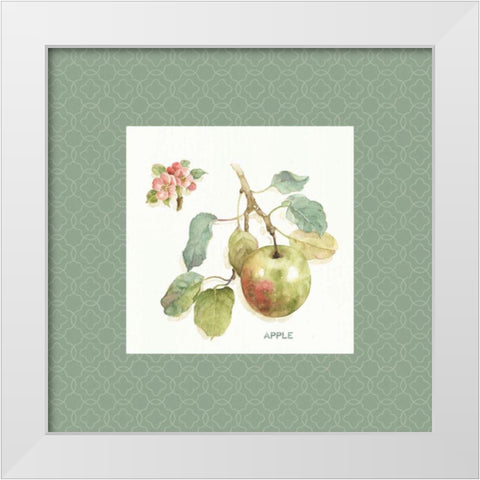 Orchard Bloom I Border White Modern Wood Framed Art Print by Audit, Lisa