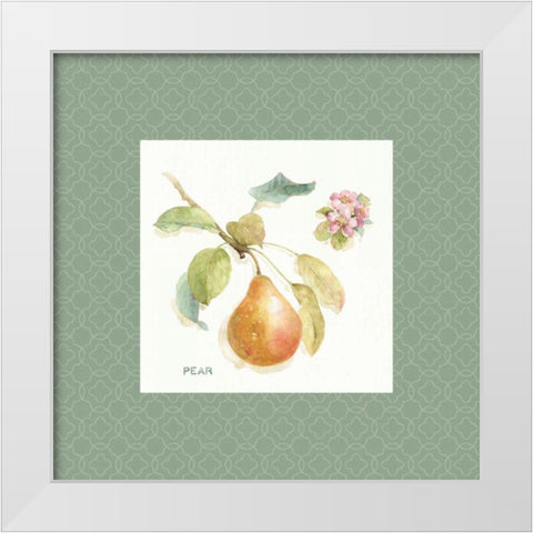 Orchard Bloom II Border White Modern Wood Framed Art Print by Audit, Lisa